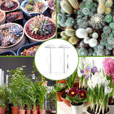 Pack of 2 Full Spectrum LED Growth Light for Indoor Plants_9