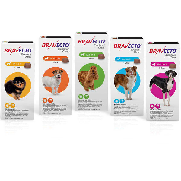 Bravecto 112,5 mg Extra Small 4.4-9.9lbs/pounds (2-4,5 kg) For Dog Tablet 12 weeks Protection